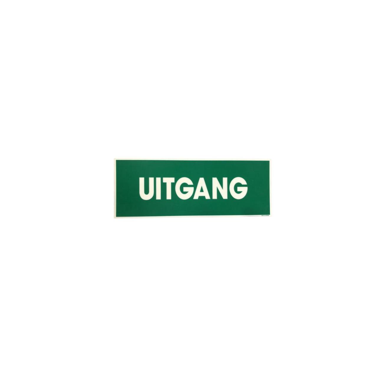 Piktogramm Schild Fluchtweg 200x200mm Fotolumineszierend